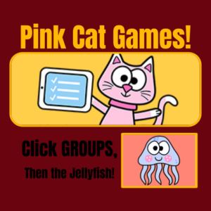 Botton showing the Pink Cat Games logo for 2nd Grade